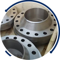 DSS weld neck flange